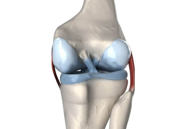 Multi-Ligament Knee | Manhattan NY