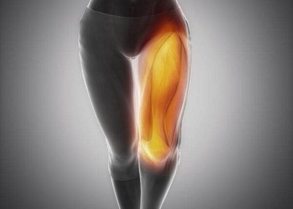 Quadriceps | Manhattan NY