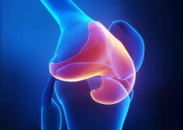 Knee Cartilage | Manhattan NY